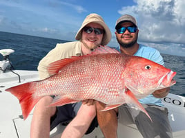 Inshore Gulf Fishing Frenzy