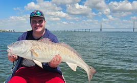 Bull Red and Shark Fishing