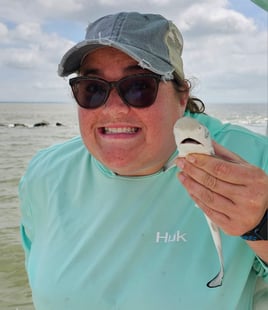 Bull Red and Shark Fishing