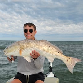 Bull Red and Shark Fishing