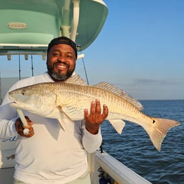 Bull Red and Shark Fishing