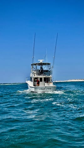 8Hr Deep Sea Snapper Trip