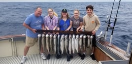 Half day fishing charter out of Kenosha Wisconsin