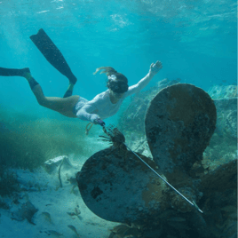 Lionfish Spearfishing Fury