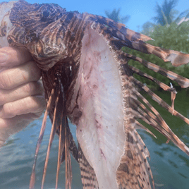 Lionfish Hunting