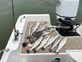 4 hr bayfishing trip