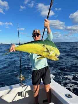 Mahi Mahi Fishing in Pompano Beach, Florida