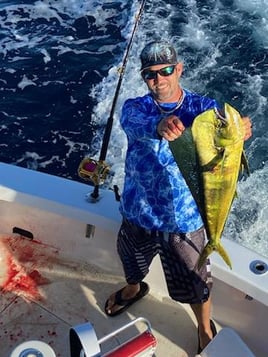 Mahi Mahi Fishing in Pompano Beach, Florida