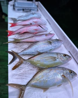 Islamorada Reef Fishing