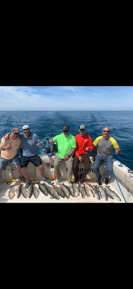 Salmon and Trout charter