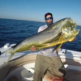 Offshore Sport Fishing