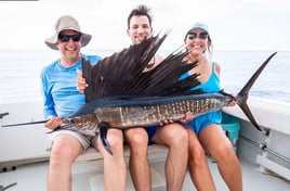 Sailfish Fishing in Boynton Beach, Florida