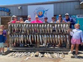 Black Drum, Redfish, Speckled Trout Fishing in Rockport, Texas