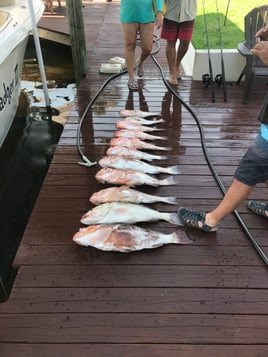 Full Day Offshore Trip