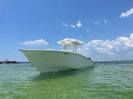 Deep Sea-Nearshore Gulf Fishing with IntraCoastal Experience