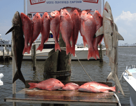 Full Day Red Snapper Trip