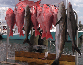 Full Day Red Snapper Trip