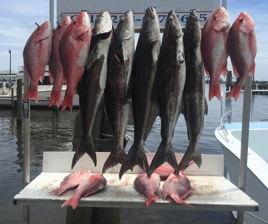 Full Day Red Snapper Trip