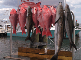 Full Day Red Snapper Trip