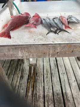 6 hour bottom fishing trip