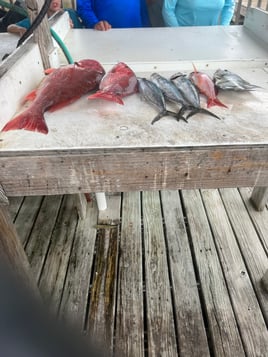 6 hour bottom fishing trip