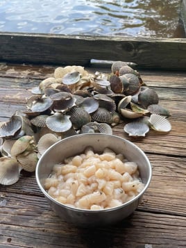 Scalloping Adventure - 24' Skipjack