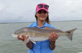 Redfish, Trout, and Flounder—Oh My!