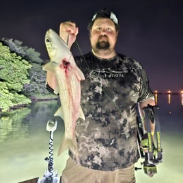 Tampa Bowfishing Charters