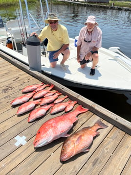 4 hour inshore/offshore