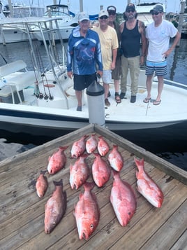 4 hour inshore/offshore