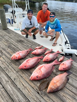 4 hour inshore/offshore