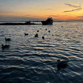 Early Teal Season