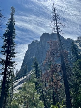 Sequoia National Forest Fly Fishing