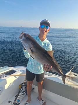 Amberjack Fishing in Destin, Florida