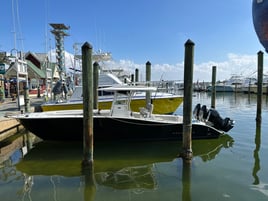 Offshore Snapper & Trolling