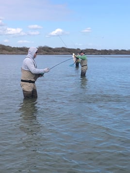 Tortuga Flats Fishing Fiesta