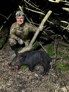 Hog Fishing in Palestine, Texas