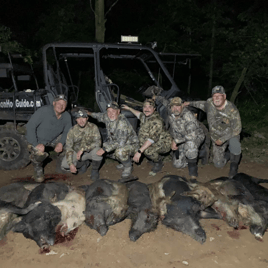 Eradication Hog Hunt