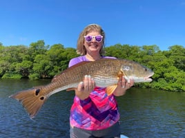 Ruskin Inshore Hook 'Em Up Trip