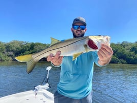 Ruskin Inshore Hook 'Em Up Trip