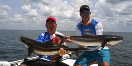 Tampa Bay Inshore Rodeo