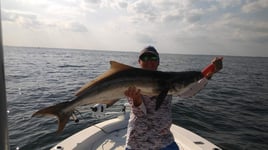 Tampa Bay Inshore Rodeo