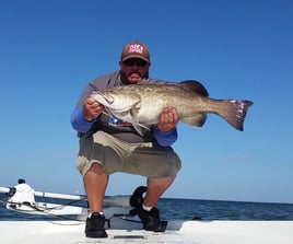 Tampa Bay Backcountry Trip