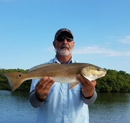 Tampa Bay Backcountry Trip