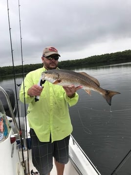 Tampa Bay Backcountry Trip