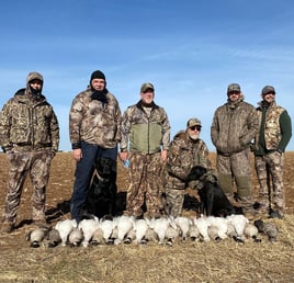 West Texas Plains Goose Hunting