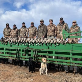 West Texas Plains Goose Hunting