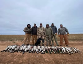 West Texas Plains Goose Hunting