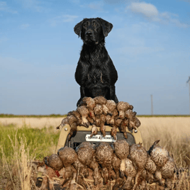 High Plains Duck Hunts