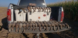 High Plains Duck Hunts